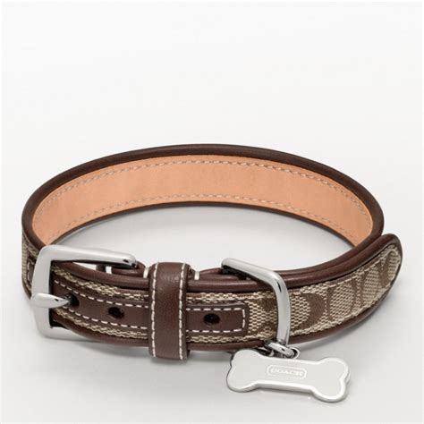 cheap coach dog collars|coach dog collar outlet.